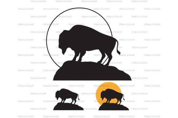 Download American Bison (Buffalo) at Sunset - Buffalo Collection